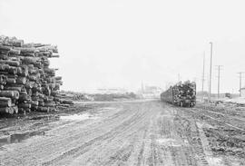 Burlington Northern log unload area at Tacoma, Washington, in 1975.