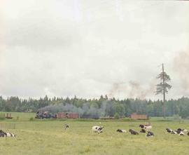 Mount Rainier Scenic Railroad Steam Locomotive Number 10 at Mineral, Washington in May, 1981.