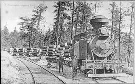 Unidentified Steam Locomotive Number 4 at Frances, Washington in 1909.