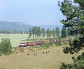 St. Maries River Railroad Diesel Locomotive Number 501 at Plummer, Idaho in August 1981.