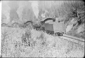 Northern Pacific steam locomotives at Weston, Washington, circa 1911.