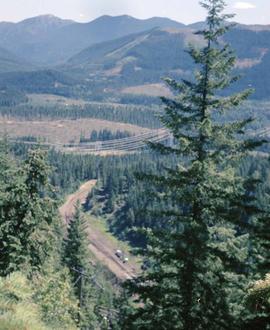 Burlington Northern tracks at Martin, Washington, in 1979.