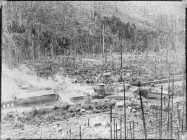 Northern Pacific facilities at Lester, Washington, circa 1914.