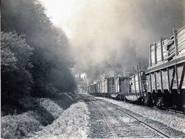 Great Northern Railway freight cars at Interbay, Washington, undated.