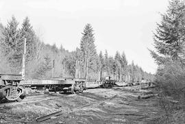 Weyerhaeuser Company Log Train at Western Junction, Washington in June 1975.