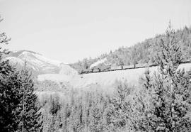 Northern Pacific steam locomotive 4025 at Lookout, Montana, in 1952.