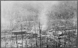 Northern Pacific facilities at Lester, Washington, circa 1914.