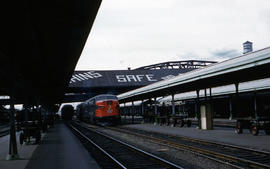 Southern Pacific Railroad Company diesel locomotive 6007 at Portland, Oregon in 1959.