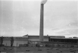 Olympic Portland Cement Company Hopper Car 103, Bellingham, Washington, undated
