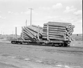 Burlington Northern log car 634461 at Pasco, Washington in 1980.