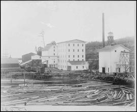 Smelter buildings in Tacoma, Washington, circa 1890.