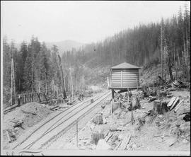 Northern Pacific track at Weston, Washington Territory, circa 1888.