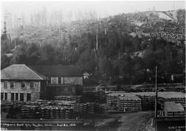 Pacific Coast Railroad freight train at Taylor, Washington, on September 23, 1914.