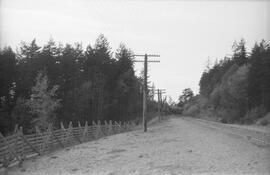 Great Northern Track, Bellingham, Washington, undated