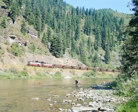 Saint Maries River Railroad Diesel Locomotives Number 501 and 502 at Avery, Idaho in August 1981.