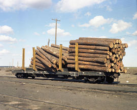 Burlington Northern log car 634461 at Pasco, Washington in 1980.