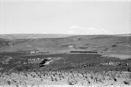 Great Northern Passenger Train, Trinidad, Washington, undated