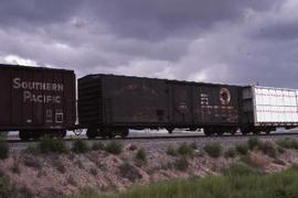 Northern Pacific 50-foot, single plug door refrigerator car 97638 at Albuquerque, New Mexico, in ...