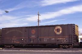 Northern Pacific 50-foot, single plug door refrigerator car 96113 at Albuquerque, New Mexico, in ...